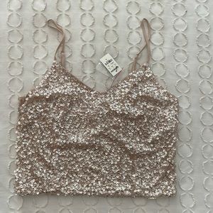 NWT Blush express crop top